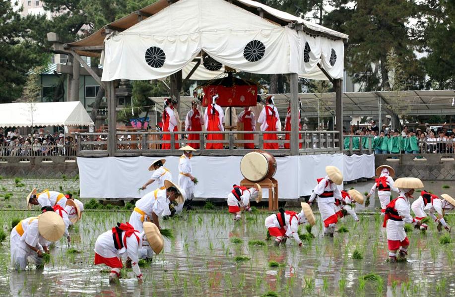 Nghi thức trồng lúa