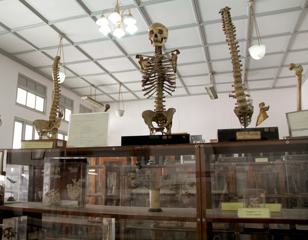 Bảo tàng Siriraj