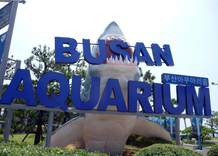 Viện hải dương học ở Busan
