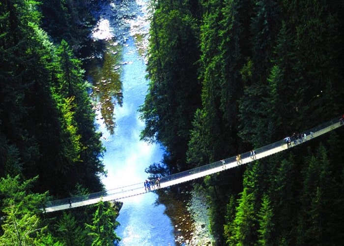 Capilano Suspension Bridge