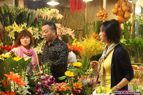 Cho cho nguoi thich chim va cay canh Hongqiao