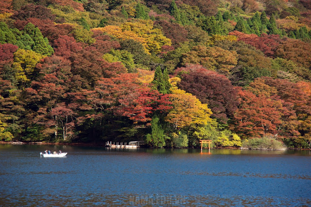 Du lịch Nhật Bản Hakone.