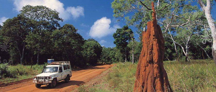 Duong Savannah Queensland