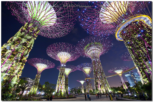 Garden by the Bay, Singapore