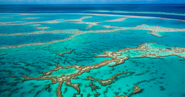 Great Barrier Reef Uc