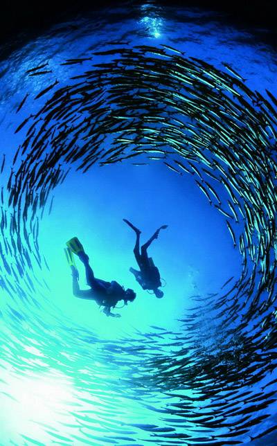 Kham pha dieu ky duoi day bien