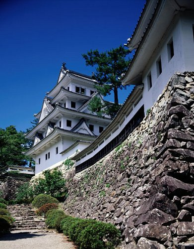Lau dai Gifu