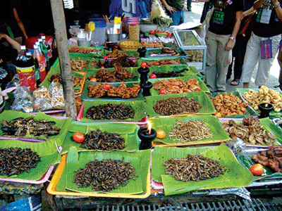 Mon an con trung Lao