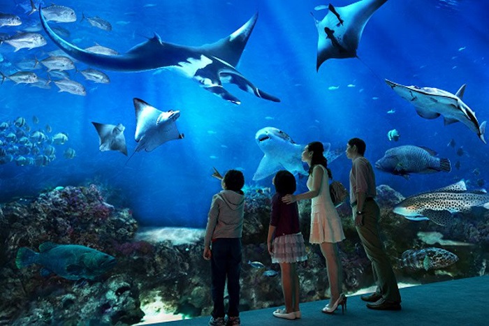 Thủy cung lớn nhất thế giới SEA Aquarium