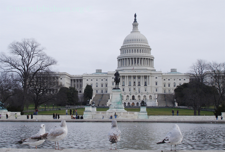 WashingtonDC WashingtonDC