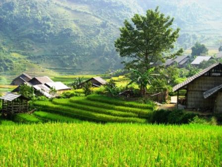 Bản Tả Phìn