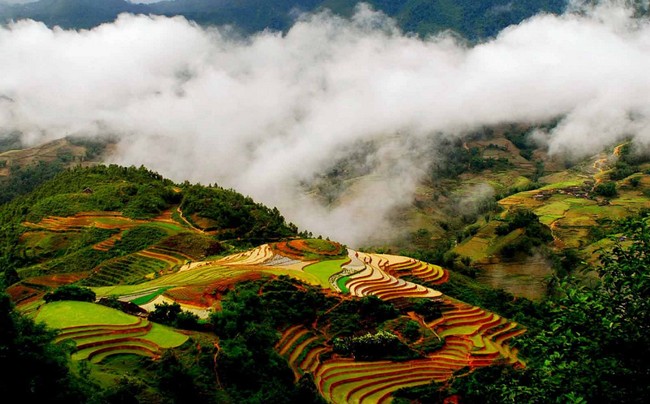 Buổi sáng Panxipang