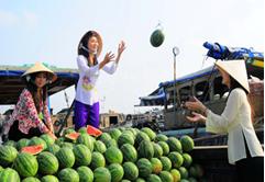 Du lịch Cần Thơ
