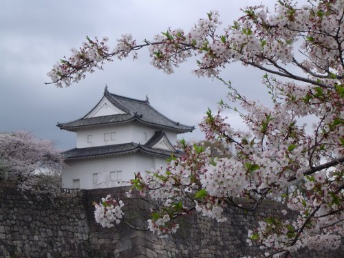canh deo osaka, nhat ban