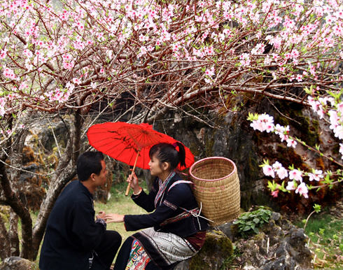 Chợ tình Sapa