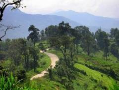 Chiang Mai viên ngọc sáng của Thái Lan