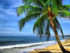 Kinh nghiệm thú vị khi đi du lịch Mũi Né