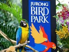Thăm quan vườn chim Jurong của Singapore