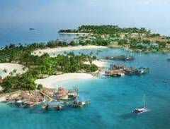 Ngắm san hô dưới lòng đại dương ở đảo Coral, Thái Lan