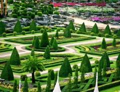 Du ngoạn vườn hoa Nong Nooch, Thái Lan