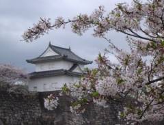 Vẻ đẹp kiêu sa của lâu đài Osaka, Nhật Bản