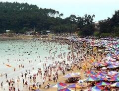 Kinh nghiệm đi du lịch Đồ sơn