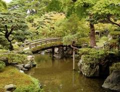 Khám phá các điểm đến lý tưởng ở Nhật Bản