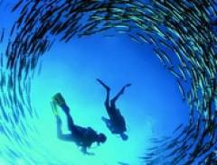 Trải nghiệm du lịch thú vị ở Malaysia