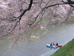 Những lễ hội lớn tại Nhật Bản