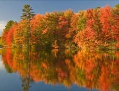 Những Cung Đường Mùa Thu Tuyệt Đẹp Ở Mỹ