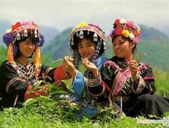 Kinh nghiệm khi đi du lịch Sapa