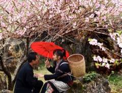 Phượt Sapa với những ngày thời tiết se lạnh