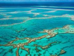 Du Lịch Úc: Khám Phá Rạn San Hô Great Barrier