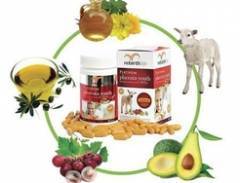 Mùa Quà Gì Khi Du Lịch Úc