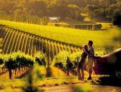 Những Điểm Đến Rượu Vang Tuyệt Đỉnh Của Úc