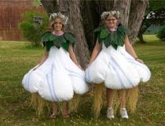 Lễ Hội Tỏi Gilroy Ở Mỹ