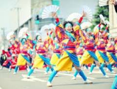 Vũ Điệu Yosakoi sôi động của Nhật Bản