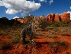 Ghé Thăm Địa Hạt Đá Đỏ Red Rock Country Ở Mỹ