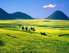 Thời Điểm Du Lịch Trung Quốc Đẹp Nhất Mỗi Mùa