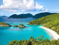 Du lịch Nha Trang ngắm đàn chim Hải Âu