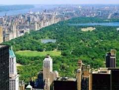 Central Park – Lá Phổi Xanh Của Nước Mỹ