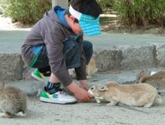 Đến Thăm Đảo Thỏ Ngộ Nghĩnh Ở Nhật Bản