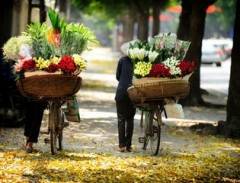 Những gánh hoa rong- duyên dáng Hà Nội