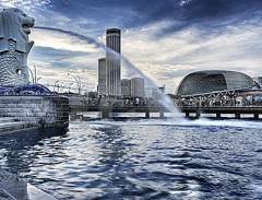 Tham Quan Công Viên Sư Tử Biển Singapore