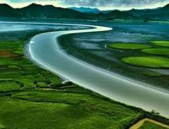 Vịnh Suncheon Xinh Đẹp Của Hàn Quốc