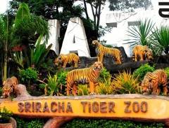 Công viên Sriracha Tiger Zoo, Thái Lan