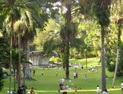 Du lịch Singapore: khám phá vườn thực vật lớn nhất châu Á