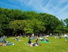 Công viên Yoyogi - Điểm du lịch lý tưởng cho bốn mùa ở Nhật Bản