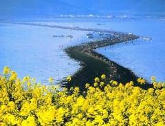 Con đường tách đôi biển Jindo ‘kỳ bí’ ở Hàn Quốc