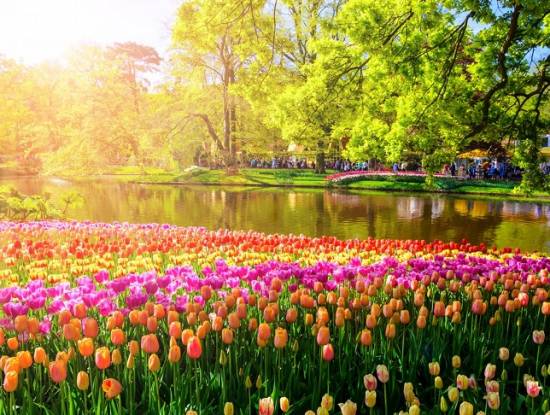 Ghé thăm Vườn hoa Keukenhof, Hà Lan - Mùa Hoa Tuylip